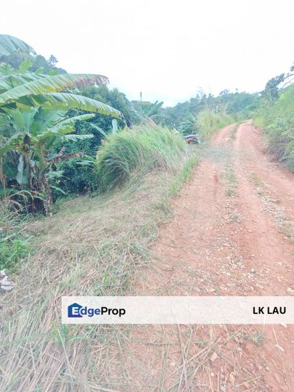 Raub Durian Plantation for sale, Pahang, Raub