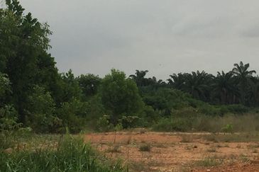 Northport Pandamaran Port Klang Industrial land