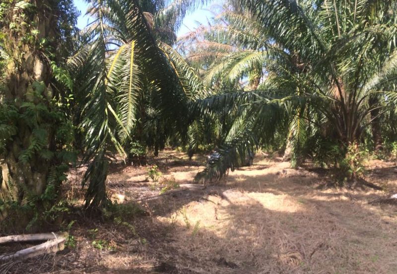 One Semenyih Industrial Park