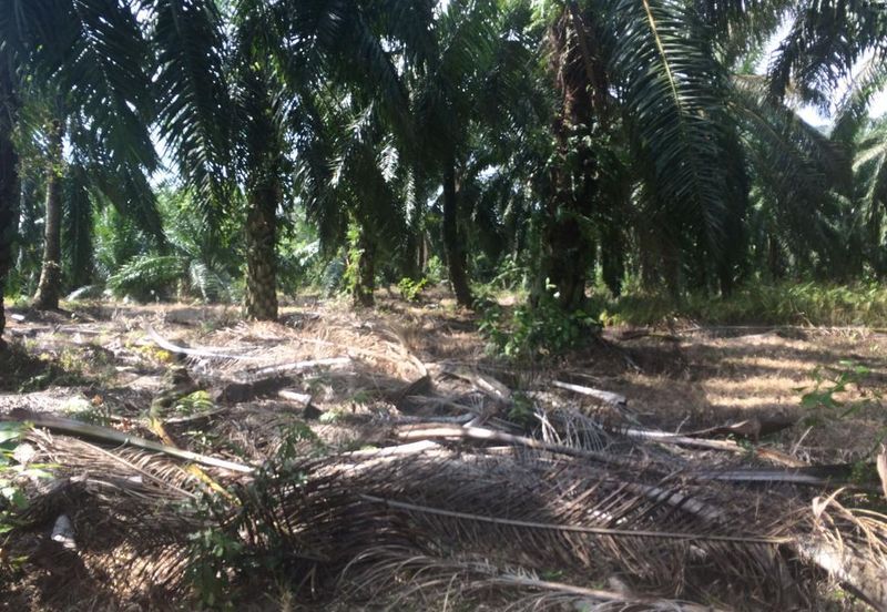 One Semenyih Industrial Park