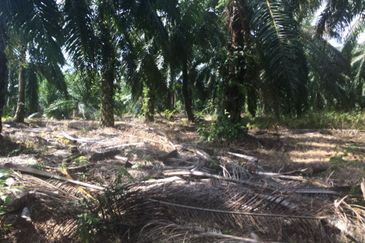 One Semenyih Industrial Park