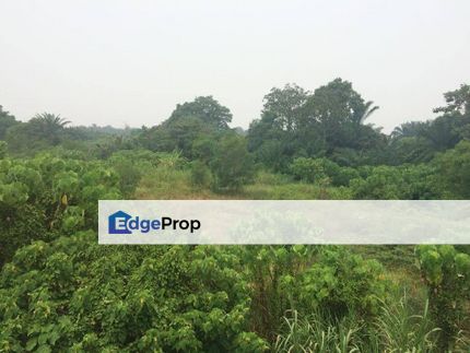 Kapar Industrial Park, Selangor, Kapar 