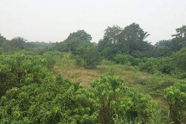 Kapar Industrial Park