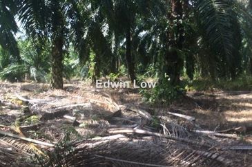 Kawasan Perindustrian Tanjung