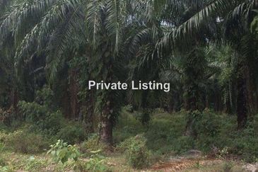 Taman Sijangkang Indah