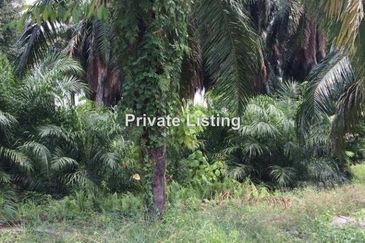 Telok Panglima Garang Industrial Zone