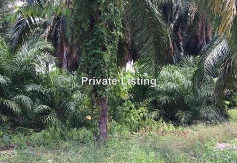 Telok Panglima Garang Industrial Zone