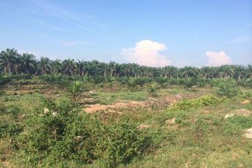 West Port, Pulau Indah