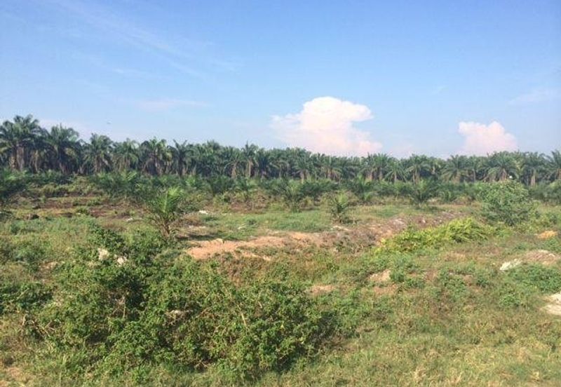 West Port, Pulau Indah