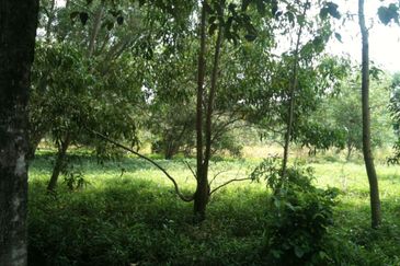 West Port, Pulau Indah