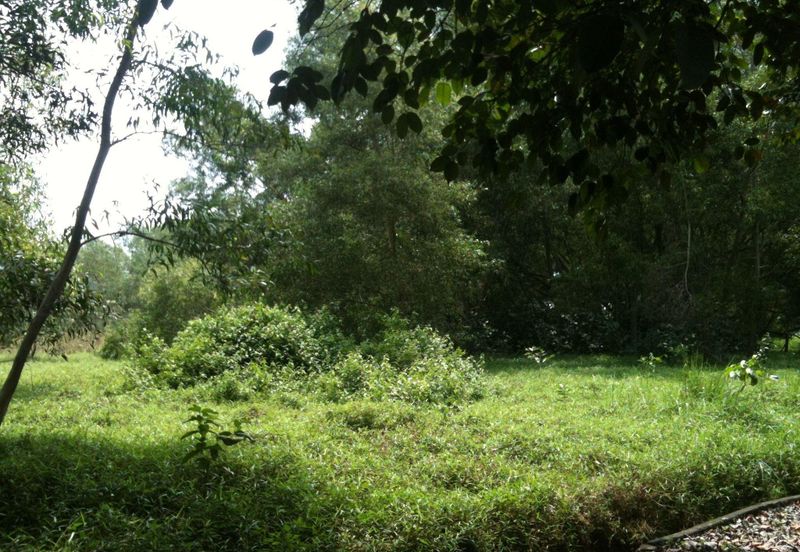 West Port, Pulau Indah