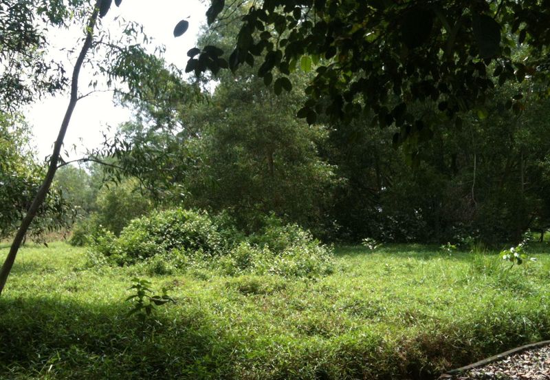 West Port, Pulau Indah