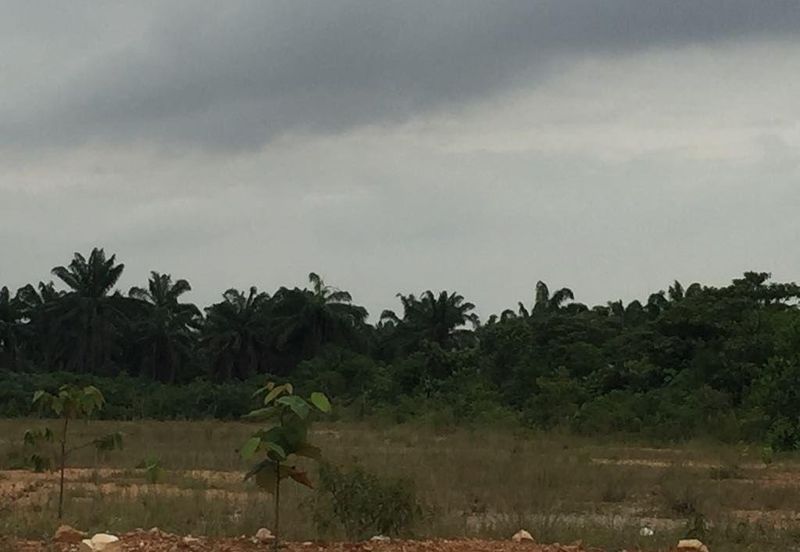 Telok Panglima Garang Industrial Zone