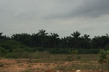Telok Panglima Garang Industrial Zone