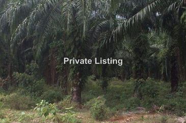 Telok Panglima Garang Industrial Zone