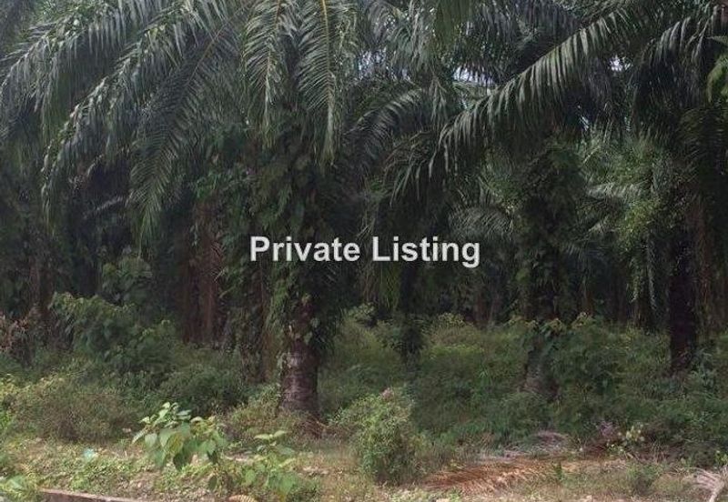 Telok Panglima Garang Industrial Zone