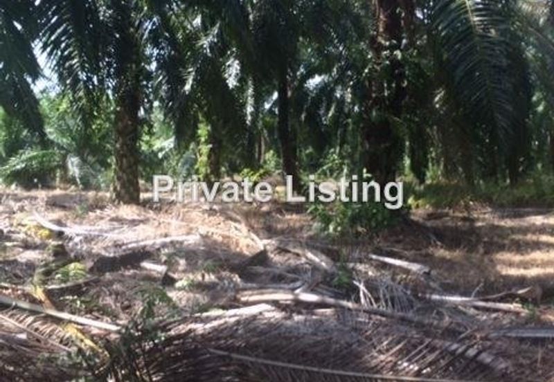 Telok Panglima Garang Industrial Zone