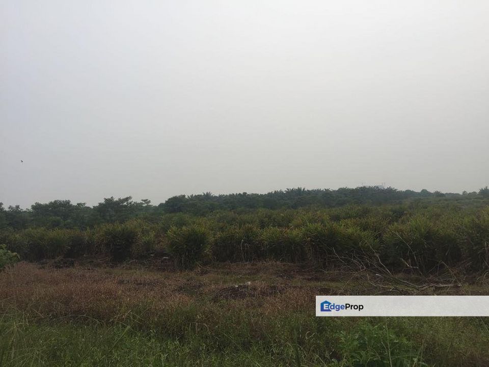 Telok Gong, Selangor, Port Klang