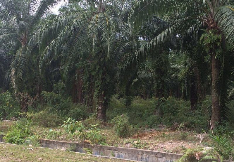 Telok Panglima Garang Industrial Zone