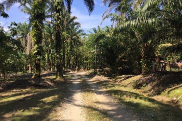 Telok Panglima Garang Industrial Zone
