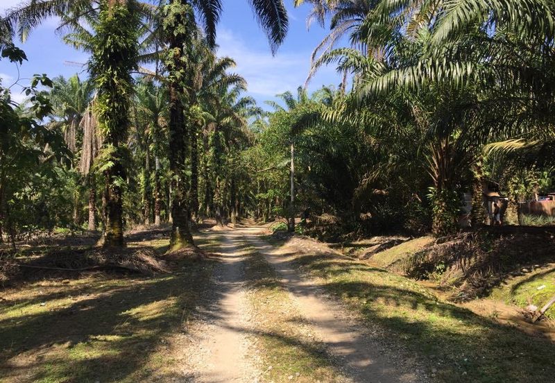 Telok Panglima Garang Industrial Zone