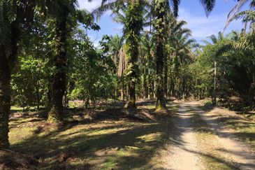 Telok Panglima Garang Industrial Zone