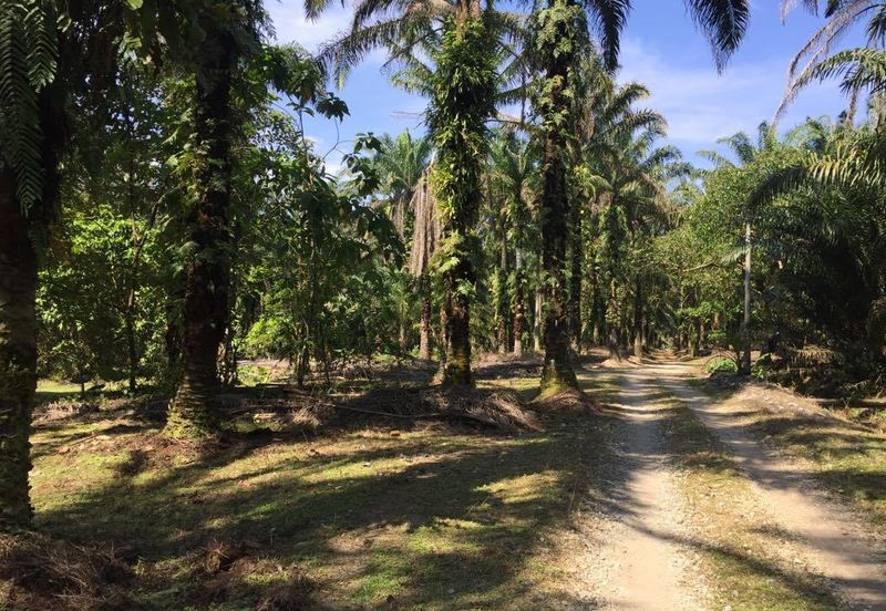 Telok Panglima Garang Industrial Zone