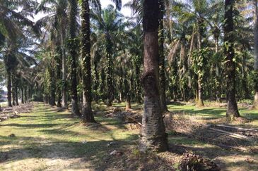 Telok Panglima Garang Industrial Zone
