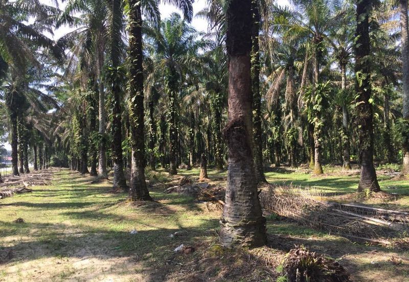 Telok Panglima Garang Industrial Zone
