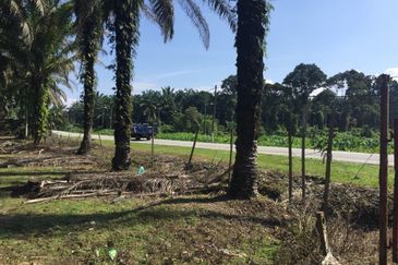 Telok Panglima Garang Industrial Zone