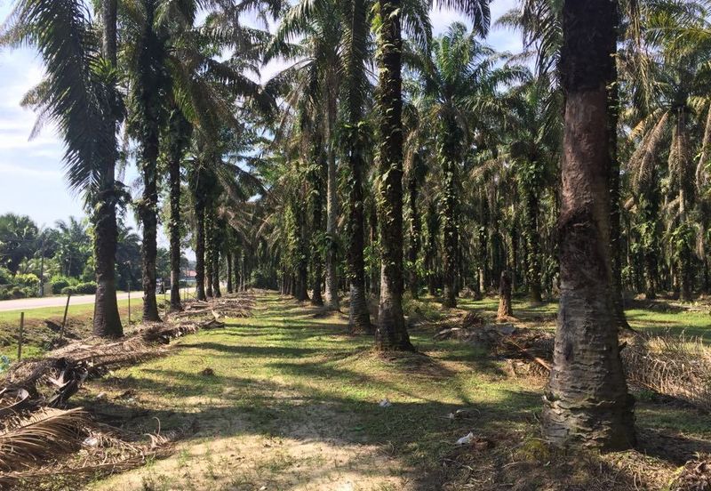 Telok Panglima Garang Industrial Zone