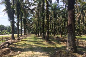 Telok Panglima Garang Industrial Zone