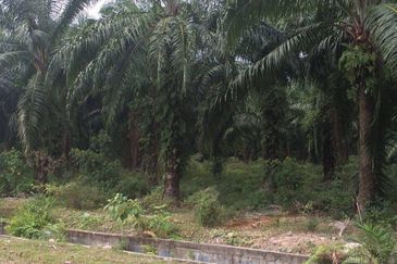 Subang Jaya Industrial Estate