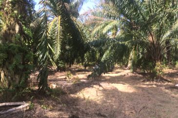 Subang Jaya Industrial Estate