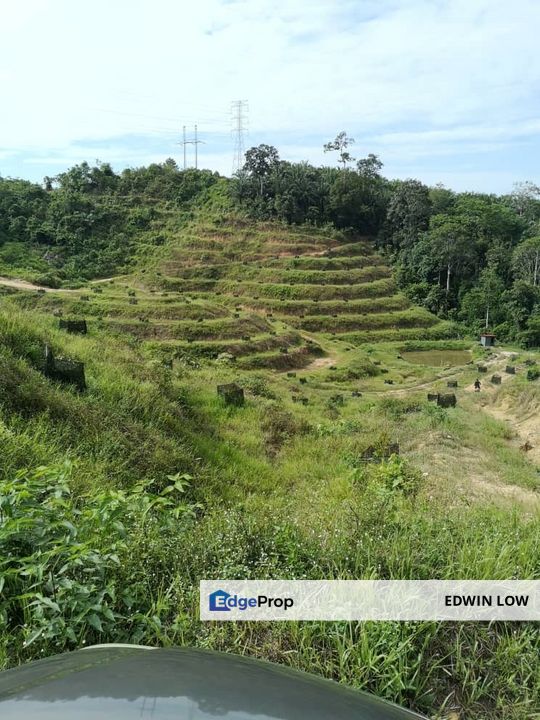 Bentong Pahang Durian Farm, Pahang, Bentong