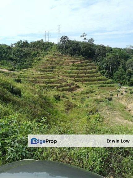 Bentong Pahang Durian Farm, Pahang, Bentong