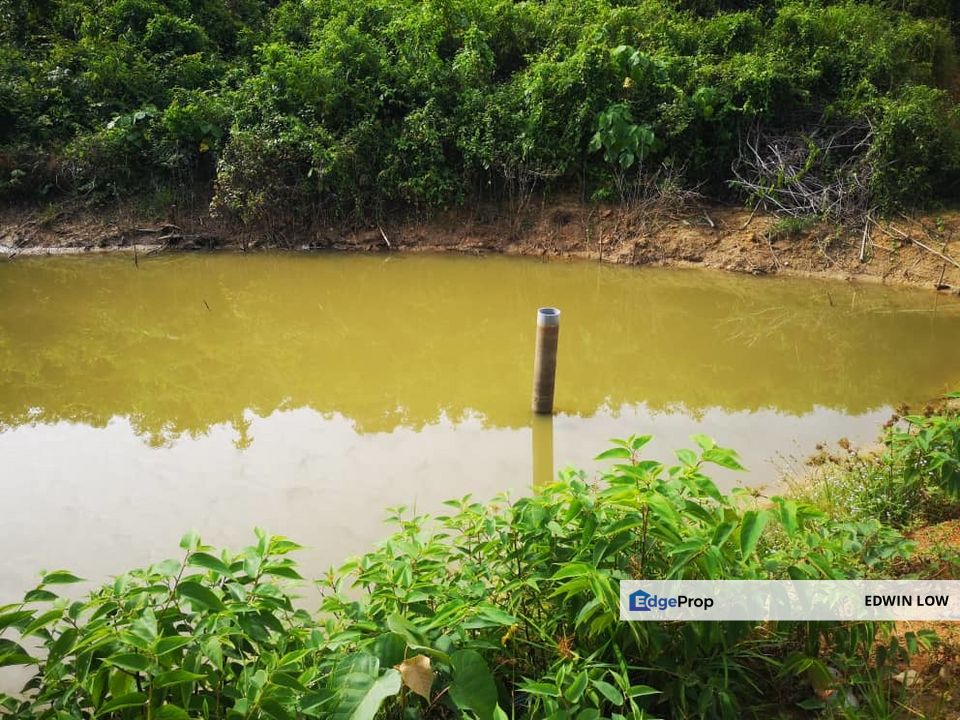 Bentong Pahang Durian Farm, Pahang, Bentong
