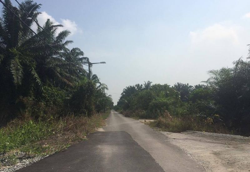 Jalan Bukit Kemuning