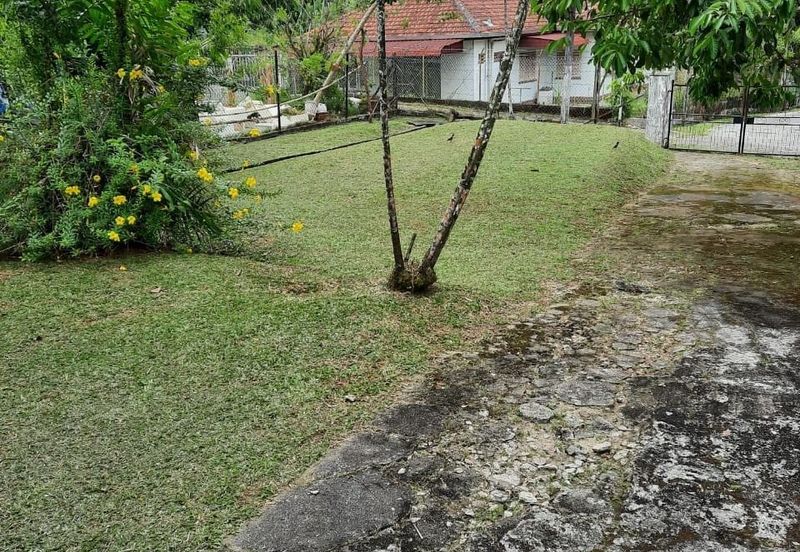 Jalan Bunga Matahari