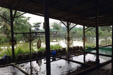 Taman Desa Cemerlang