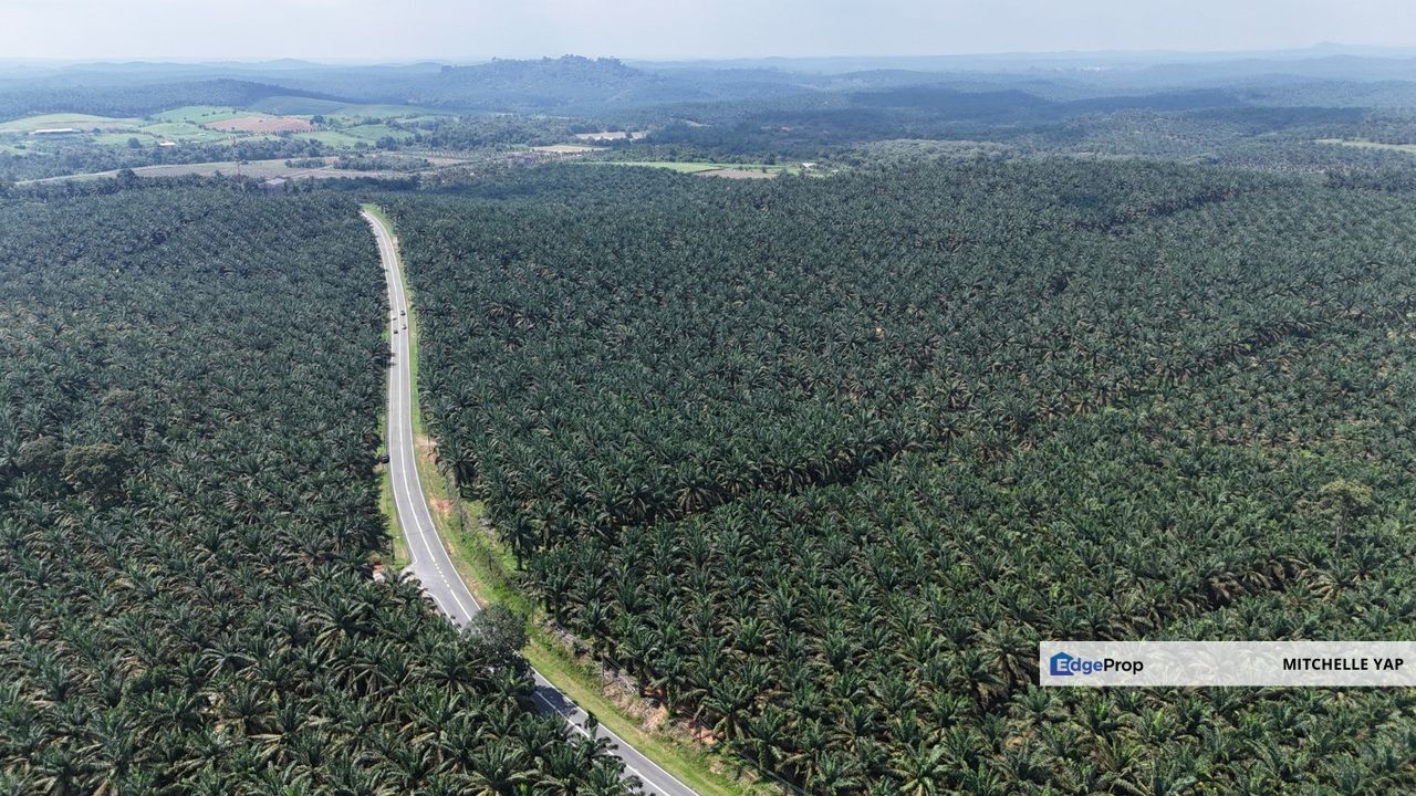  📌Kota Tinggi, Mukim Sedili Besar, Tanjung Sedili🏞️Agricutural Land  for SALES , Johor, Ulu Tiram