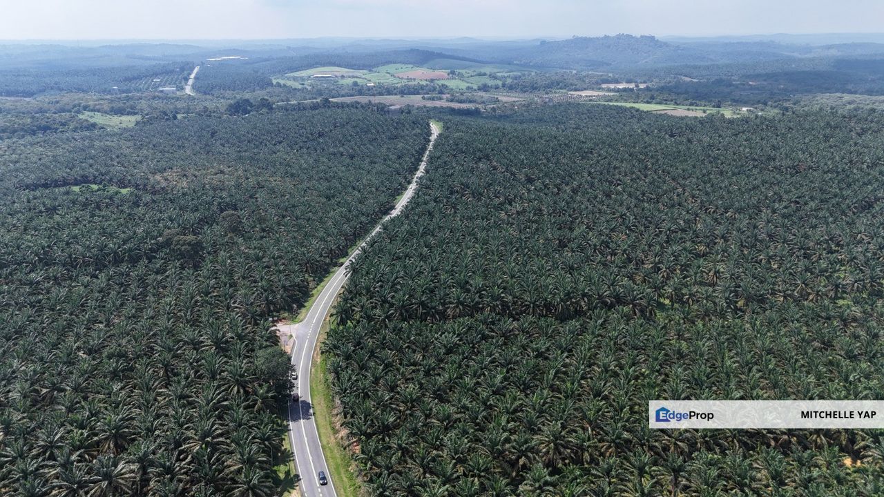  📌Kota Tinggi, Mukim Sedili Besar, Tanjung Sedili🏞️Agricutural Land  for SALES , Johor, Ulu Tiram
