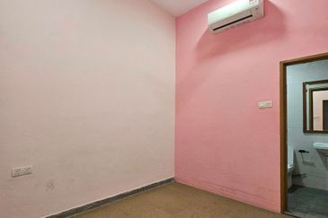 Stulang Laut / Darat