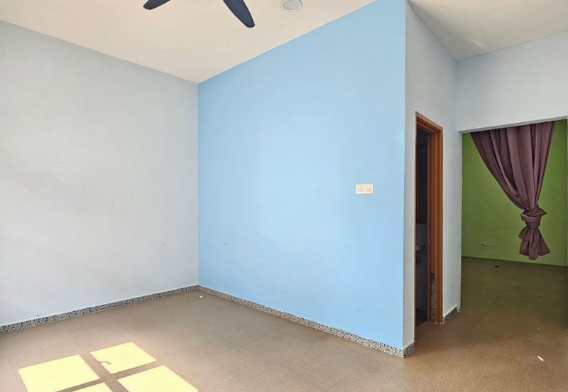 Stulang Laut / Darat