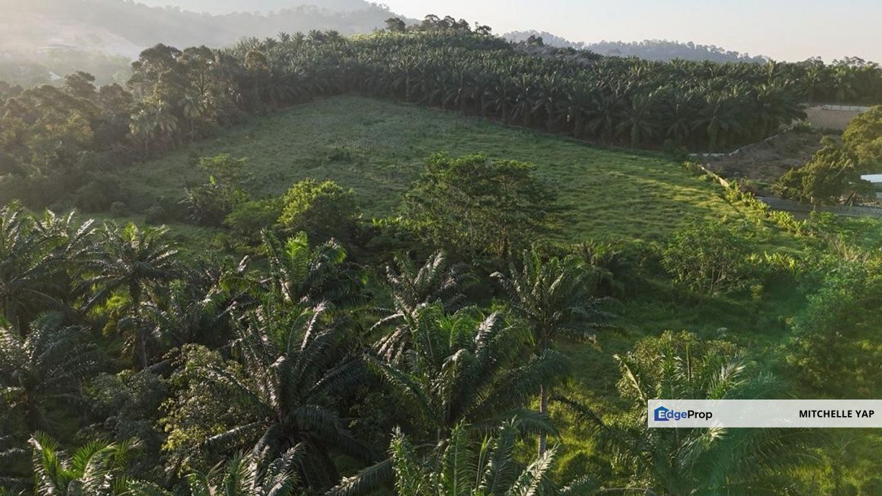 Pontian Residential Land For Sales, Johor, Pontian