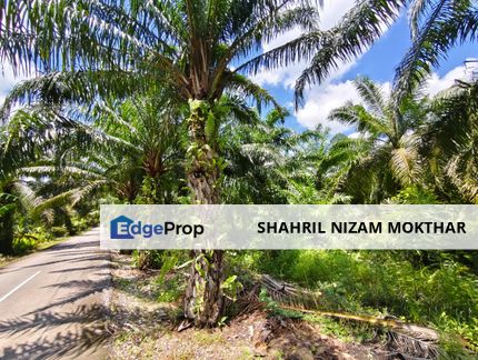 FREEHOLD 26-ACRE LAND IN SABAK BERNAM — READY FOR RESIDENTIAL DEVELOPMENT!, Selangor, Sabak Bernam