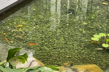 Seri Riana Residence