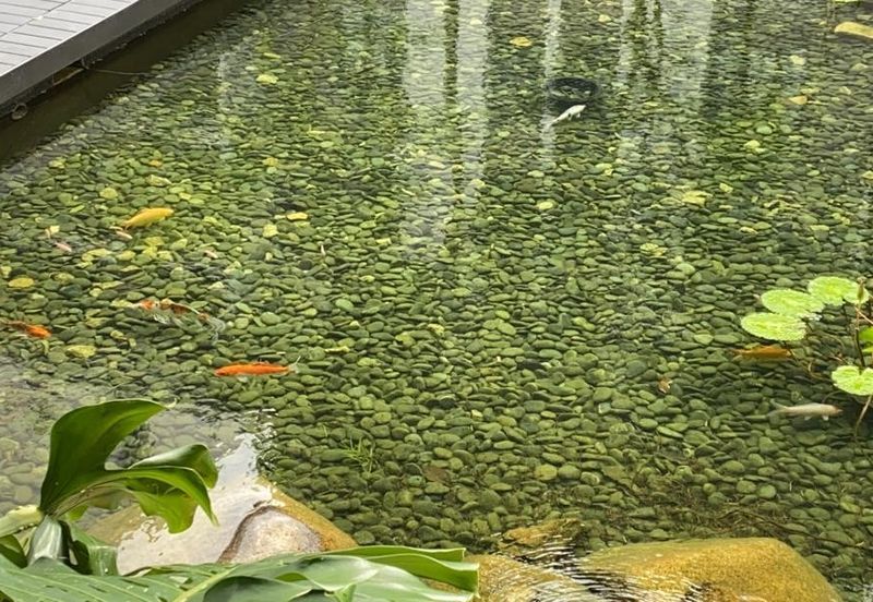 Seri Riana Residence