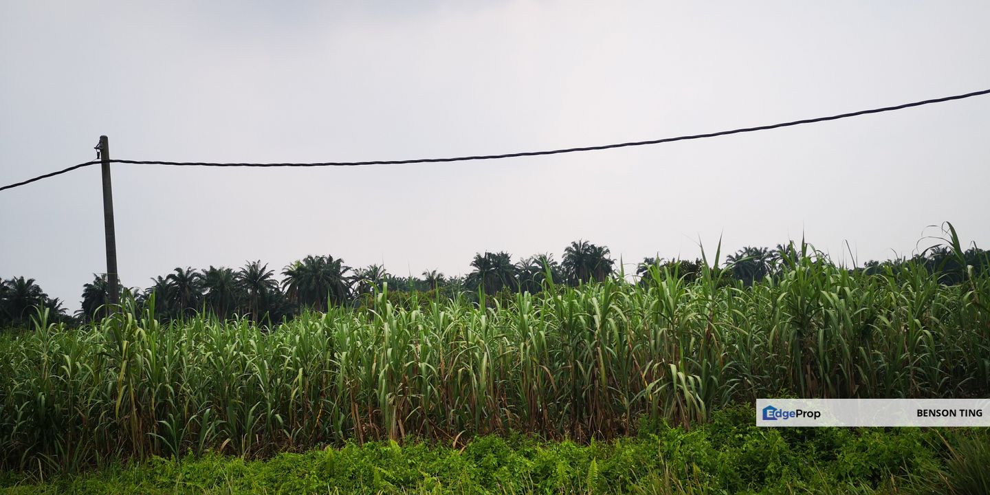 32.55 AC KAPAR INDUSTRIAL LAND FOR SALE, Selangor, Kapar 