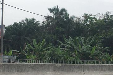 5ac Meru Residential Land For Sale